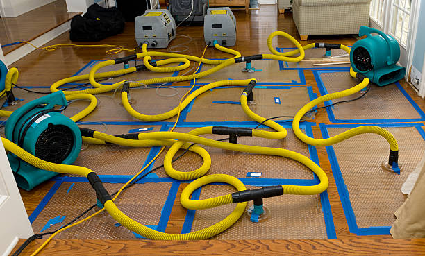 Professional Crawl Space Water Removal technician working in Micro, NC